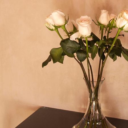 Rosas & Xocolate Boutique Hotel And Spa Merida, A Member Of Design Hotels Zewnętrze zdjęcie